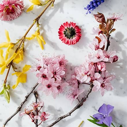 Floral Oriental Perfume Scent