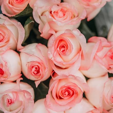 Floral Perfume Scent