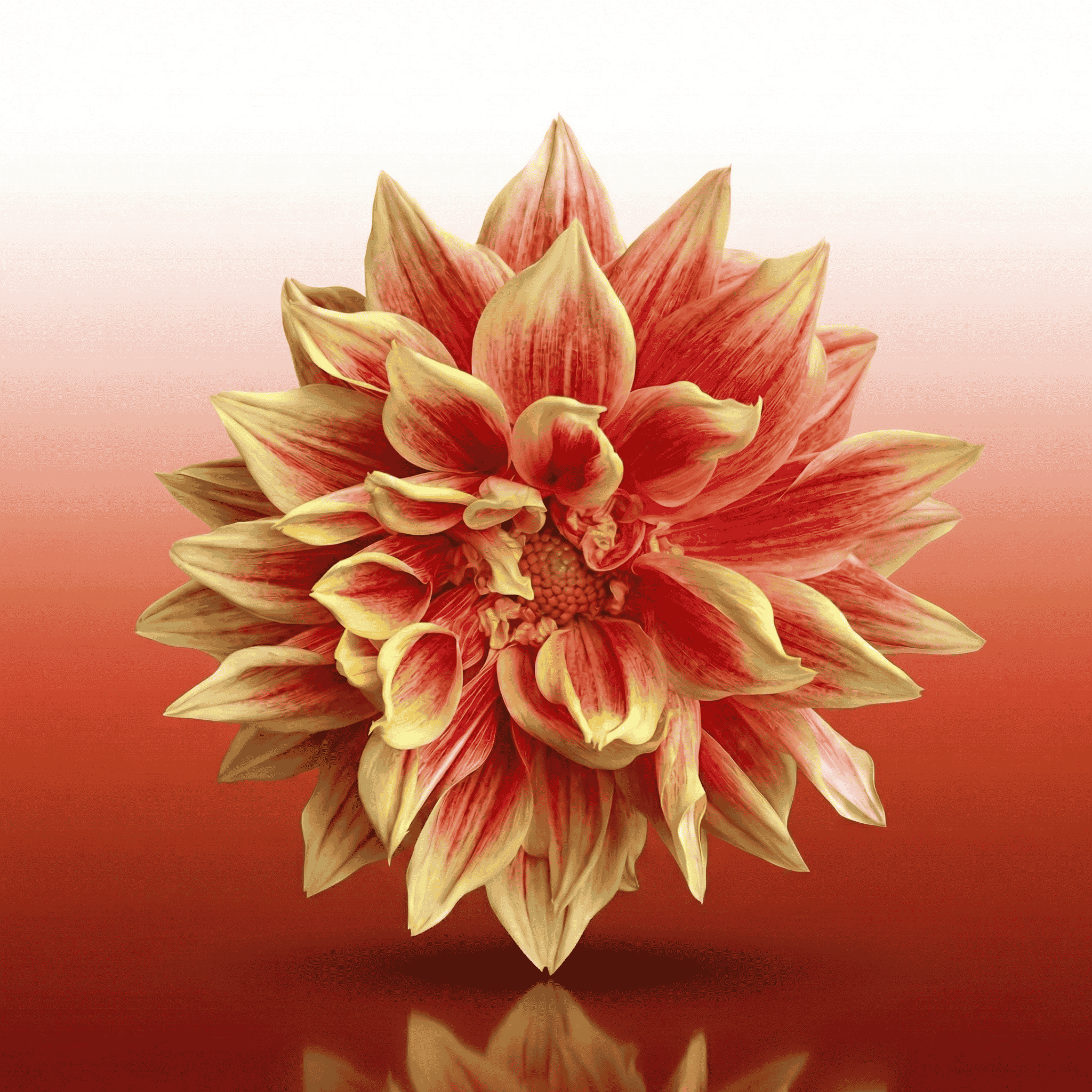 Floral Oriental Perfume Scent