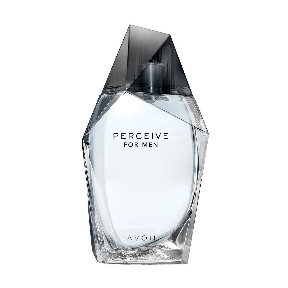 Perceive for Him Eau de Toilette 100ml